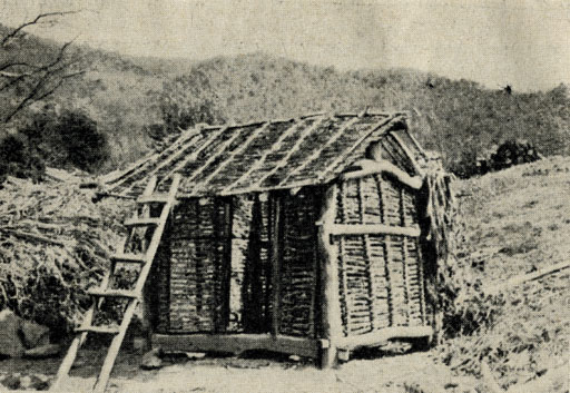 Рис. 31. Каркасная система корейского строения. Фото проф. Л. К. Абрамова
